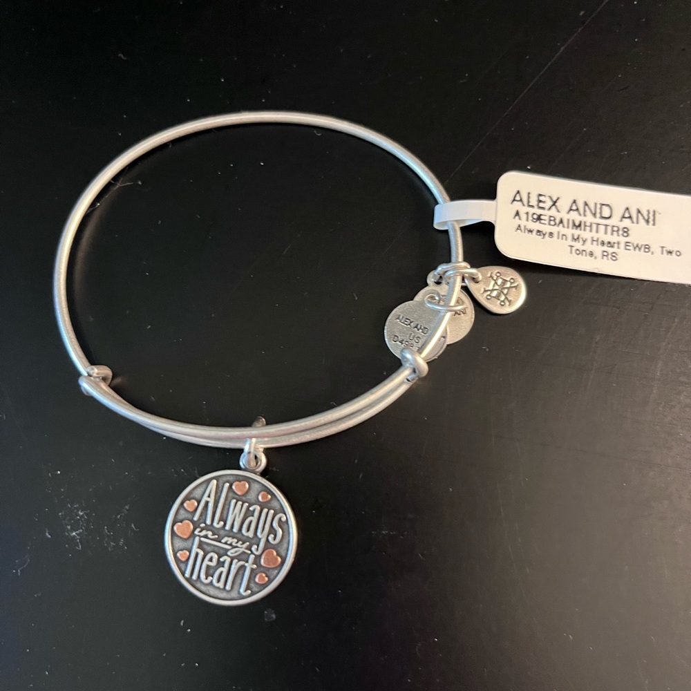 Alex and Ani Silver Charm Bracelet